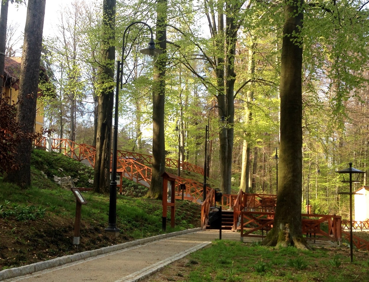 Ochrona różnorodności biologicznej na obszarze Natura 2000 części Parku Krajobrazowego „Góry Opawskie” w granicach Parku Zdrojowego w Głuchołazach