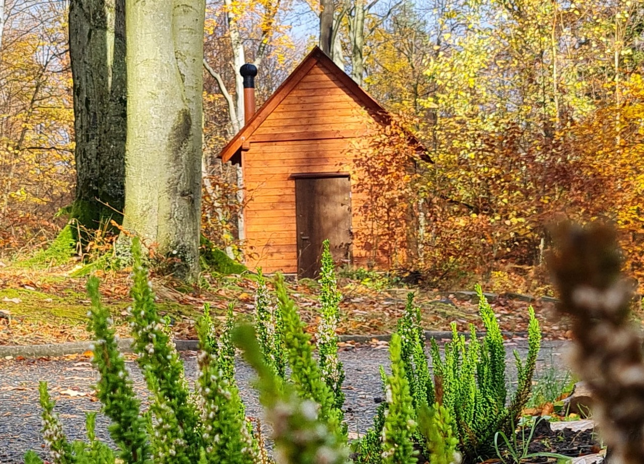 Budowa wiaty koncertowej i ekotoalety w Parku przy Domu Artysty w Głuchołazach