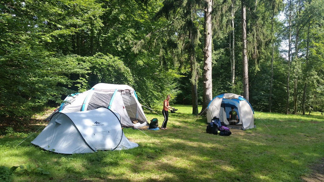 Workcamp in the Spa Park! 2023 1