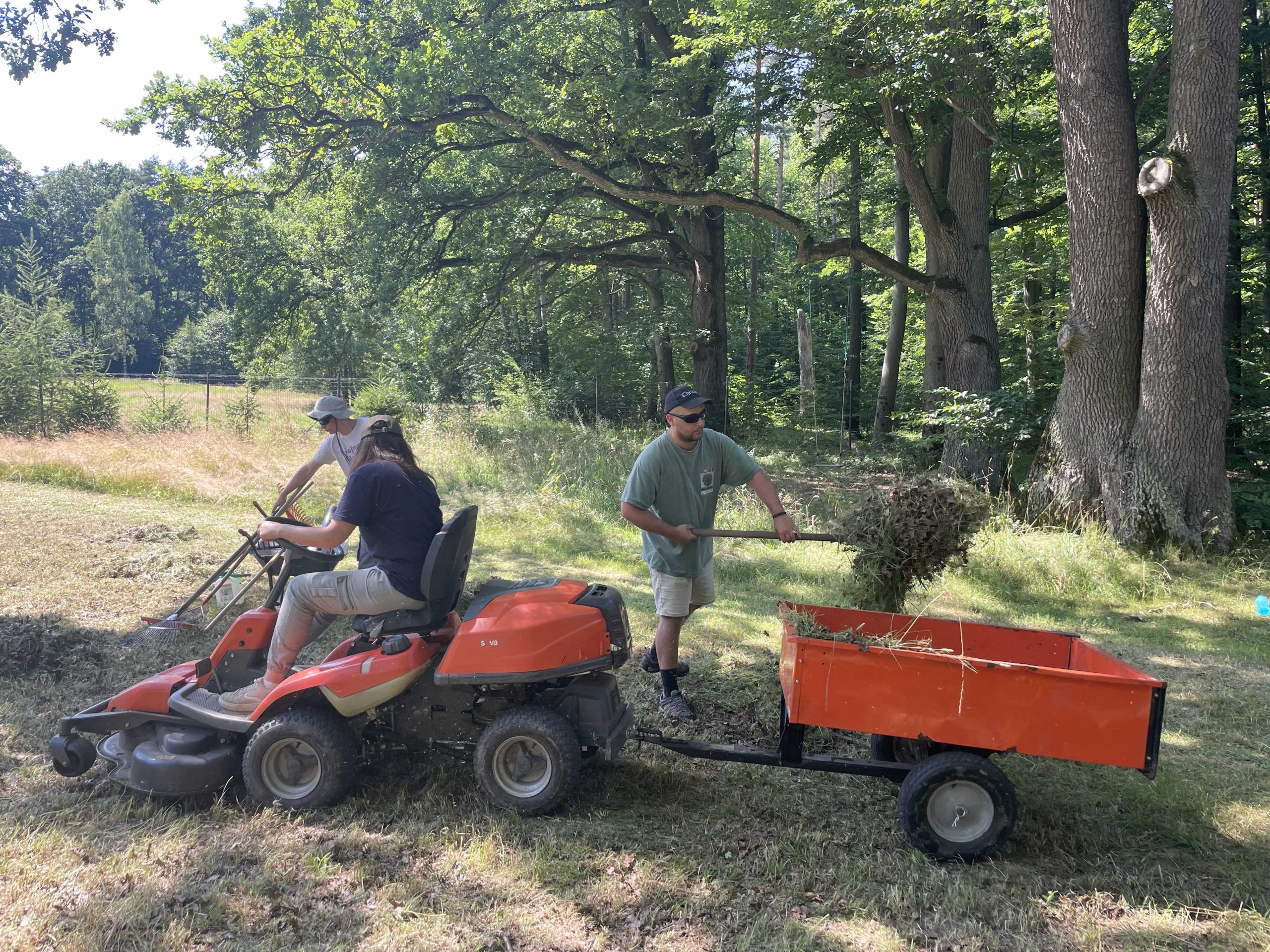 Workcamp in the Spa Park! 2023 5