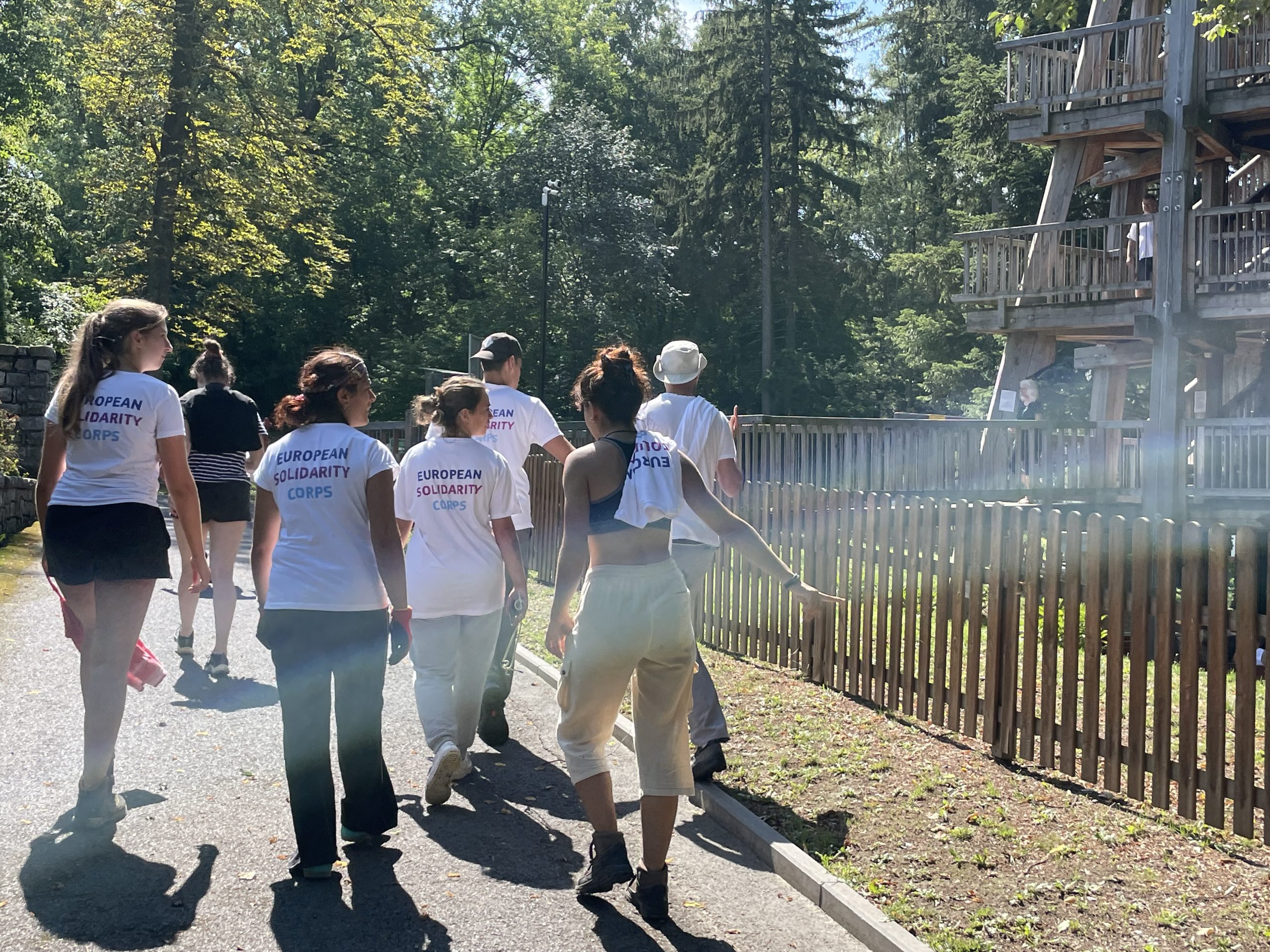 Workcamp in the Spa Park! 3
